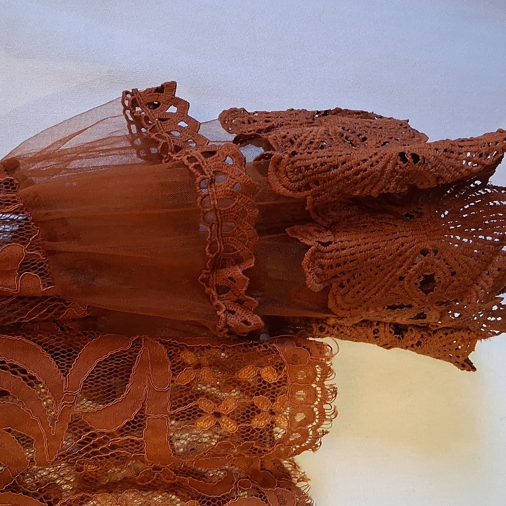 ViVI Rust Lace Blouse - Picture 5 of 6